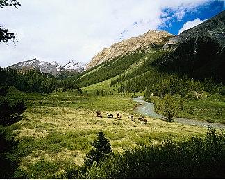 解救慵懒散的世界《躺平了》现已正式上市